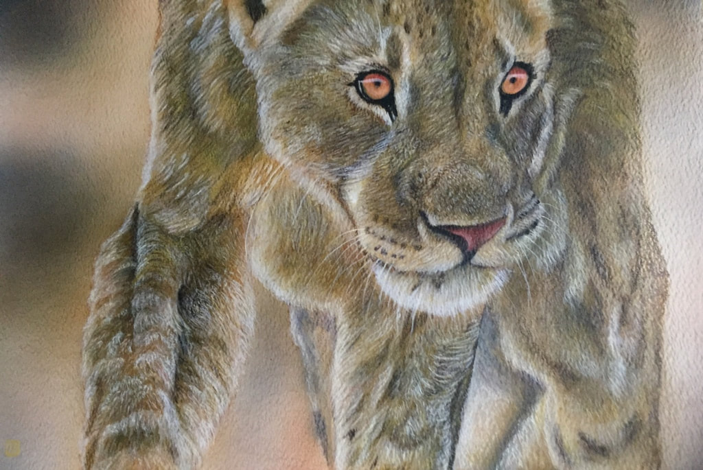Stalking Lioness
Mixed Media